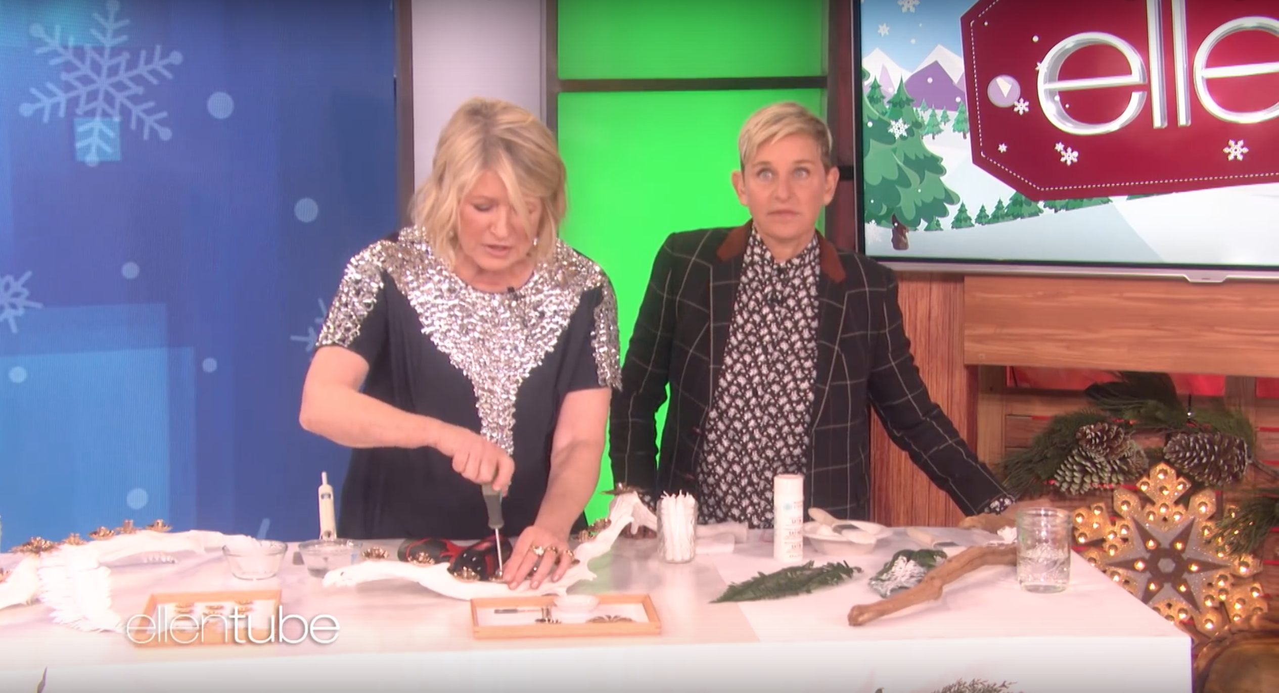 Martha Stewart Has An Insane Number Of Christmas Trees In Her Home   The Ellen Show Martha Stewart 1543959050 