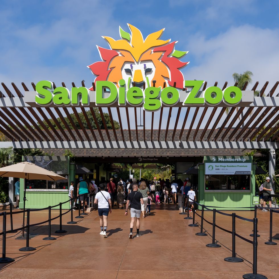 the entrance to san diego zoo