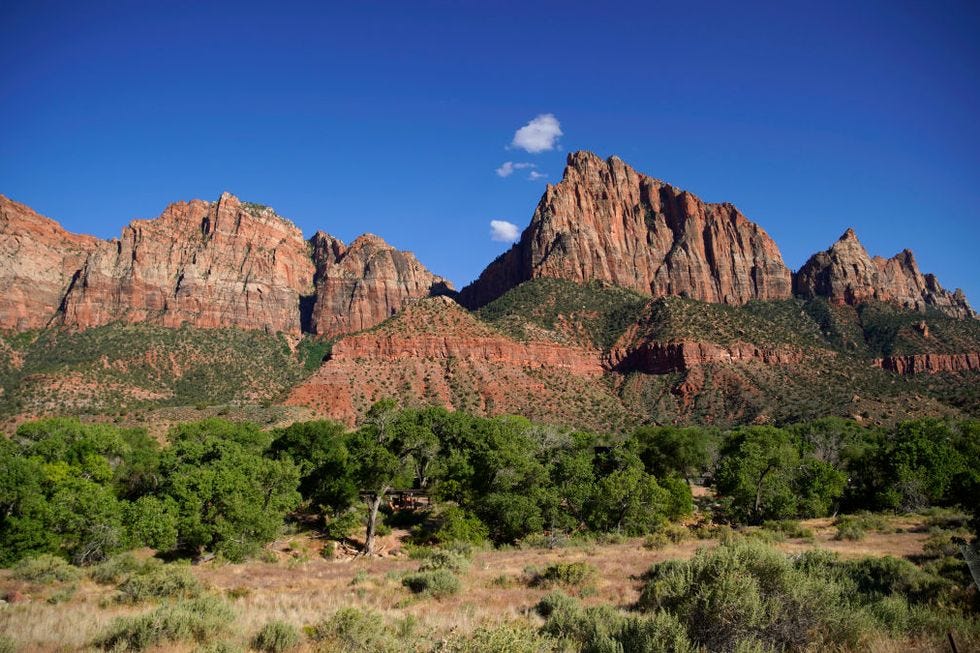 a landscape with trees and mountains in the background