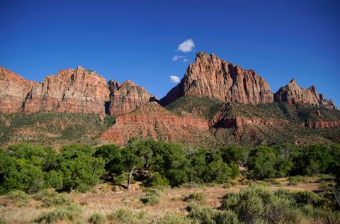 utah's zion national park reopens to visitors