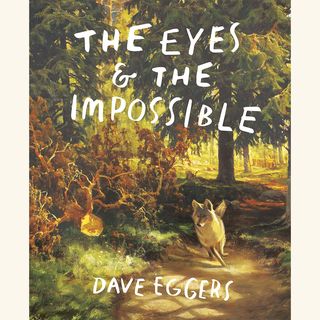 the eyes and the impossible, dave eggers