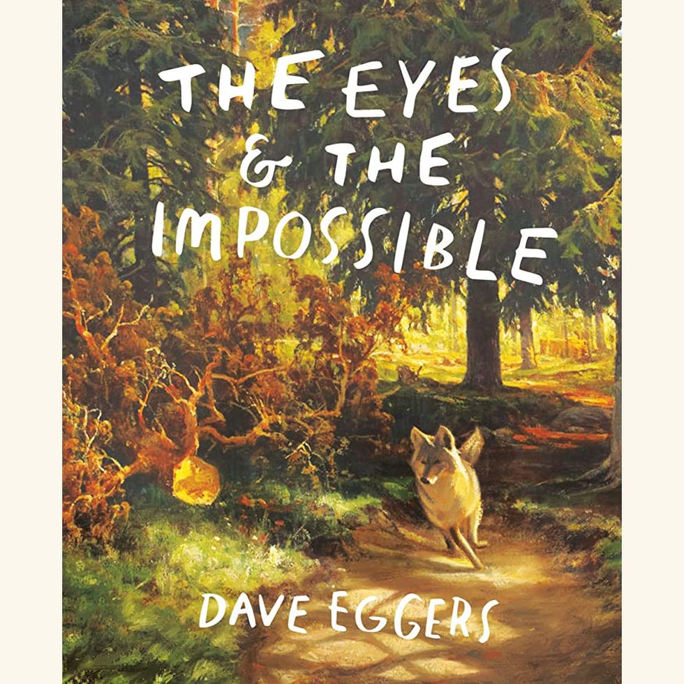 the eyes and the impossible, dave eggers