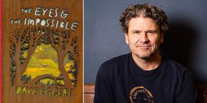 the eyes and the impossible, dave eggers, novel