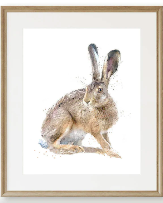 Wild Rabbits Fine Art Collection