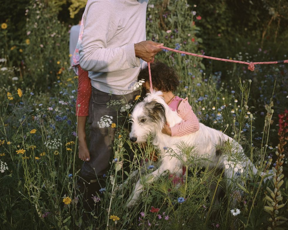 a man and a dog in a field of flowers