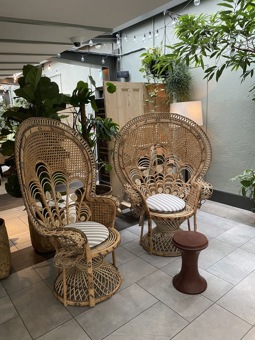 a group of wicker chairs