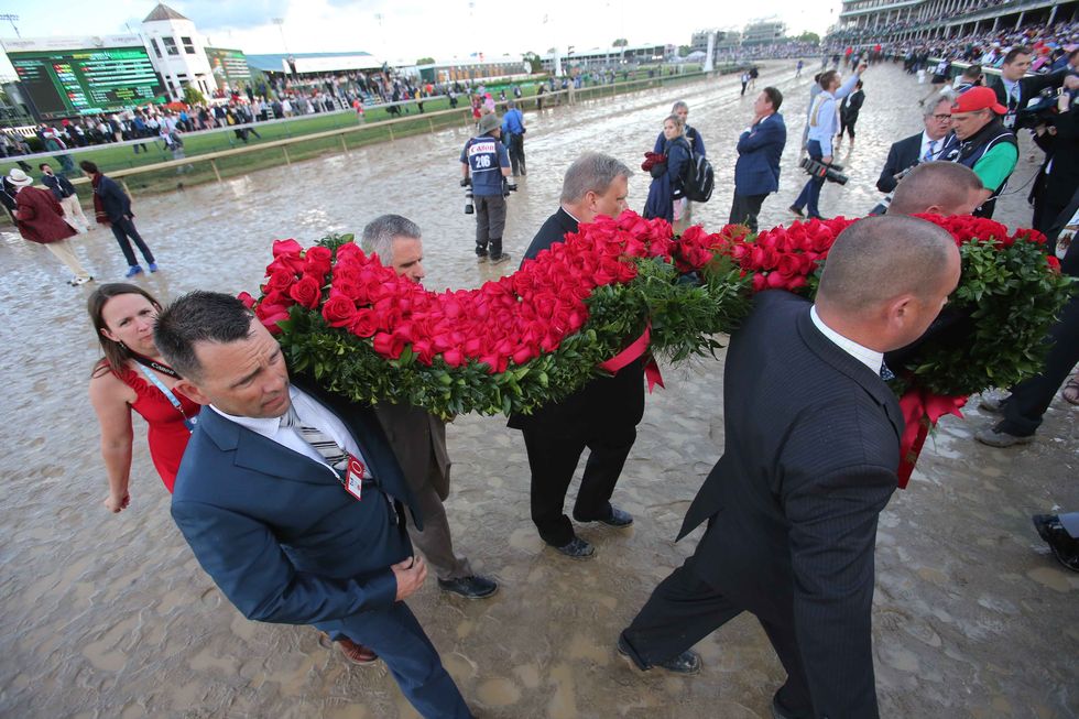 a garland of roses at the kentucky derby