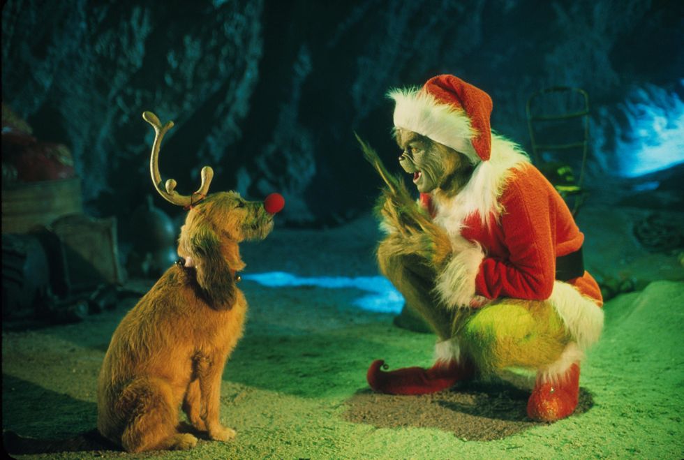 the grinch played by jim carrey conspires with his dog max