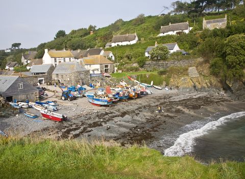 the historic and attractive fishing village of cadgwith cove on the lizard peninsula, cornwall