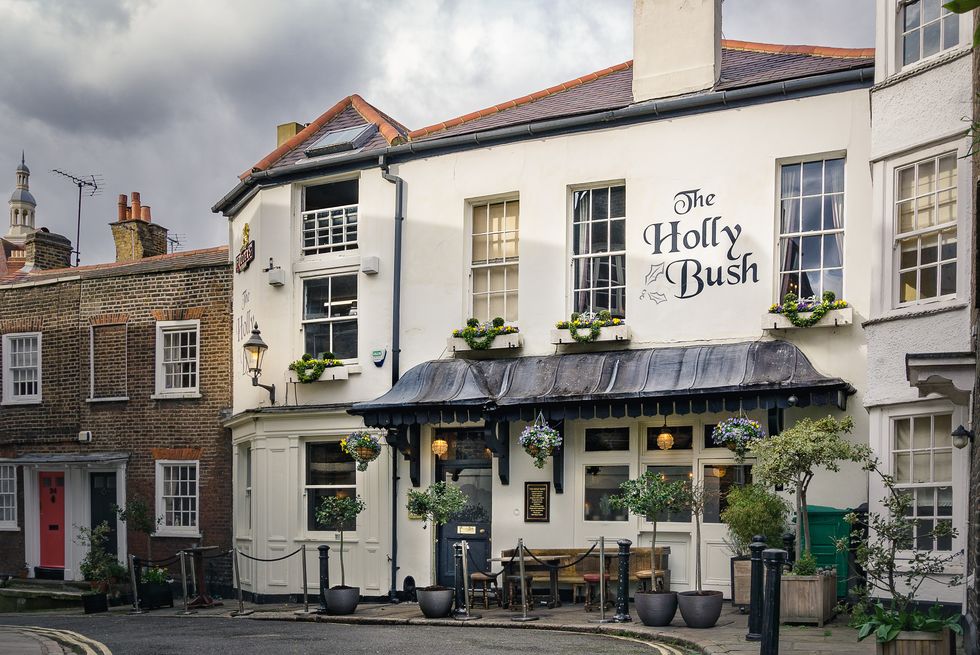 the holly bush pub