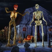 This is an image the home depot home accents holiday 12 foot giant sized inferno pumpkin skeleton and skeleton with lifeeyes