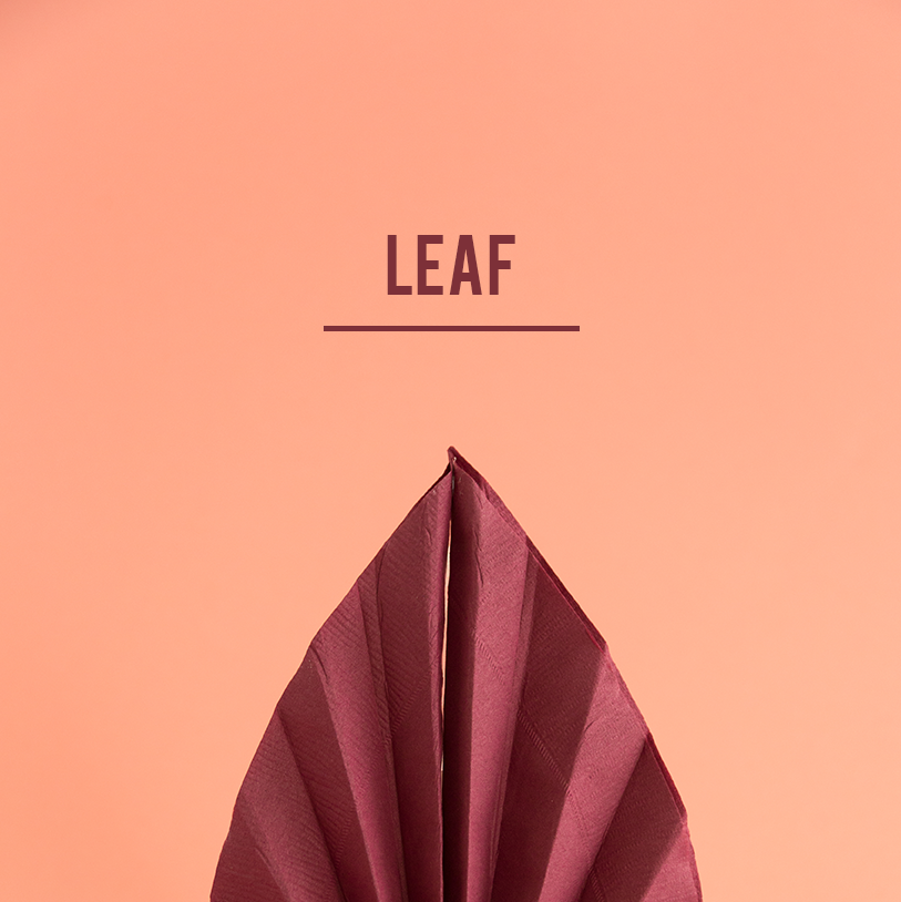 https://hips.hearstapps.com/hmg-prod/images/the-house-that-lars-built-leaf-napkin-fold-1667848863.png?crop=1.00xw:0.640xh;0,0.293xh&resize=980:*