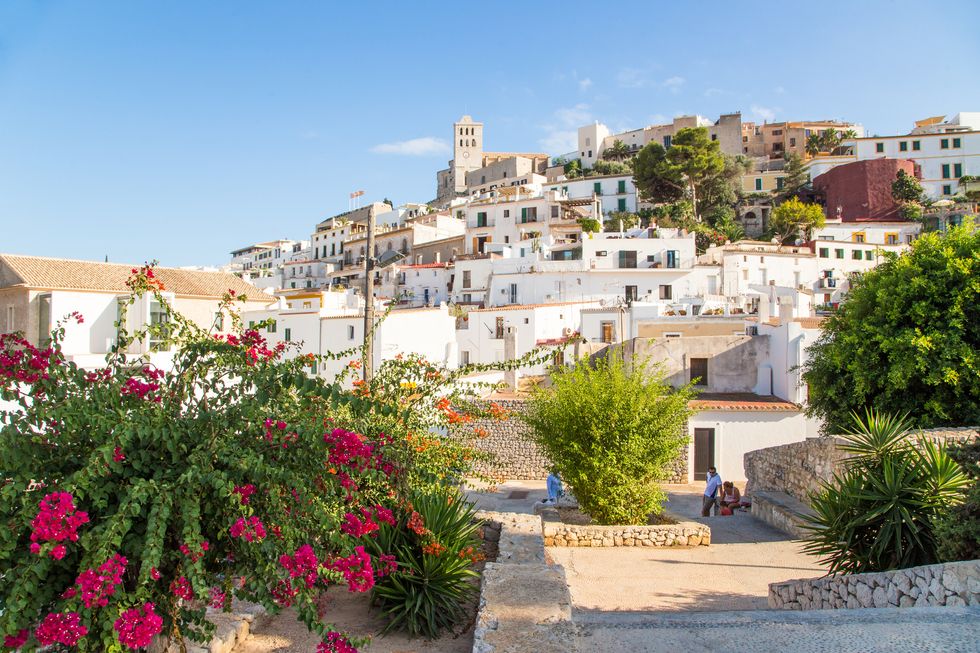 the ibiza old town with flowers on summertime
