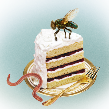 a cake with a fly on top