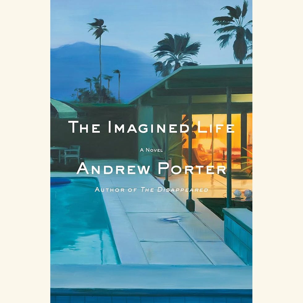 the imagined life by andrew porter