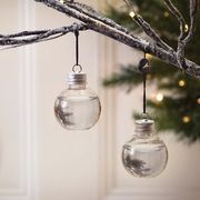 Mason jar, Branch, Tree, Lighting, Twig, Ornament, Glass, Christmas tree, Christmas ornament, Christmas decoration, 