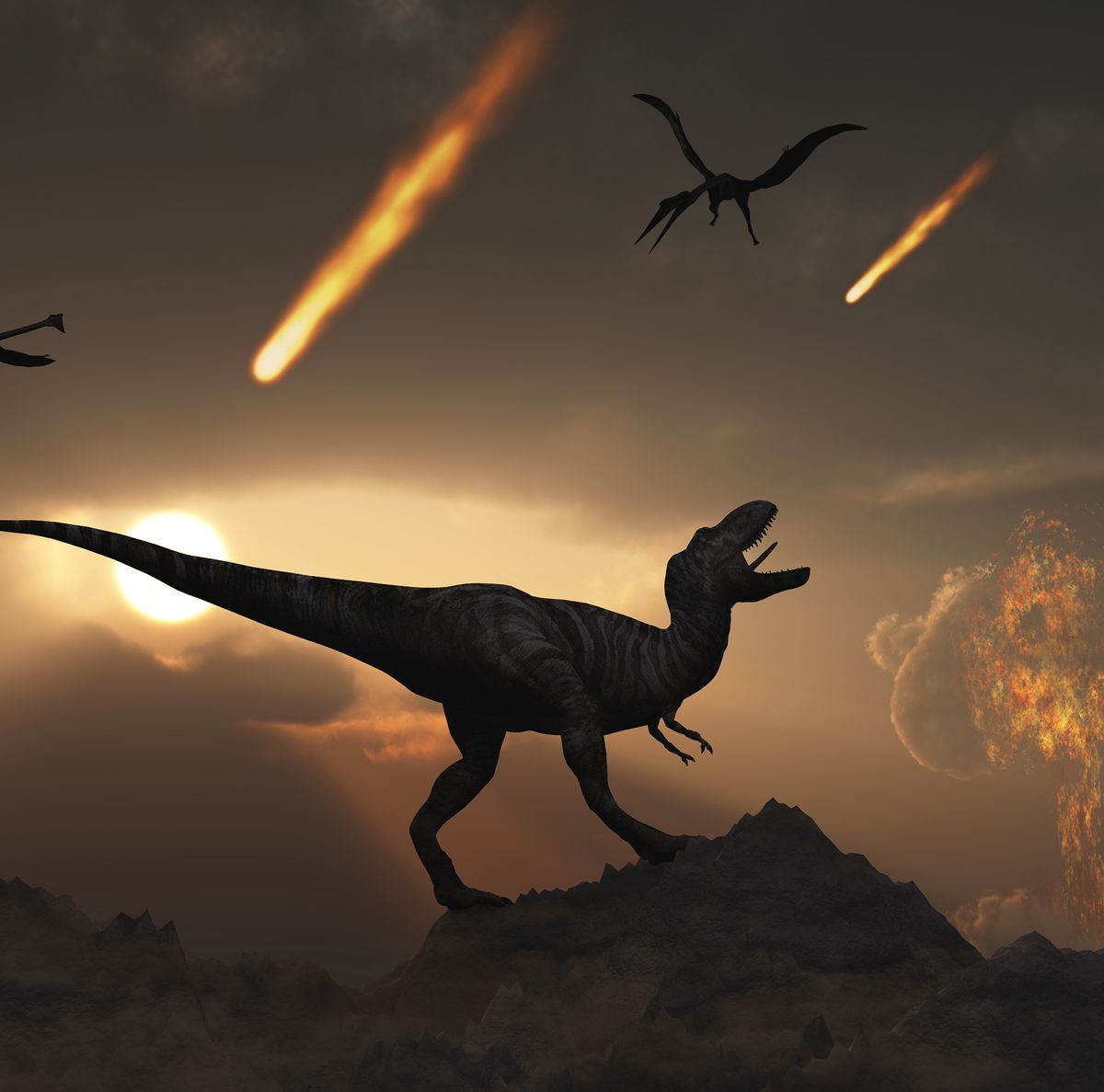 A Newfound Tiny-Armed, Large-Headed Dino Reminds Us of T. Rex