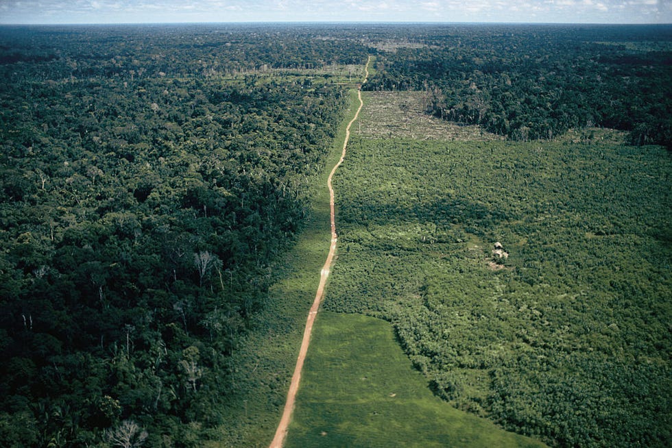 amazon basin the last frontier