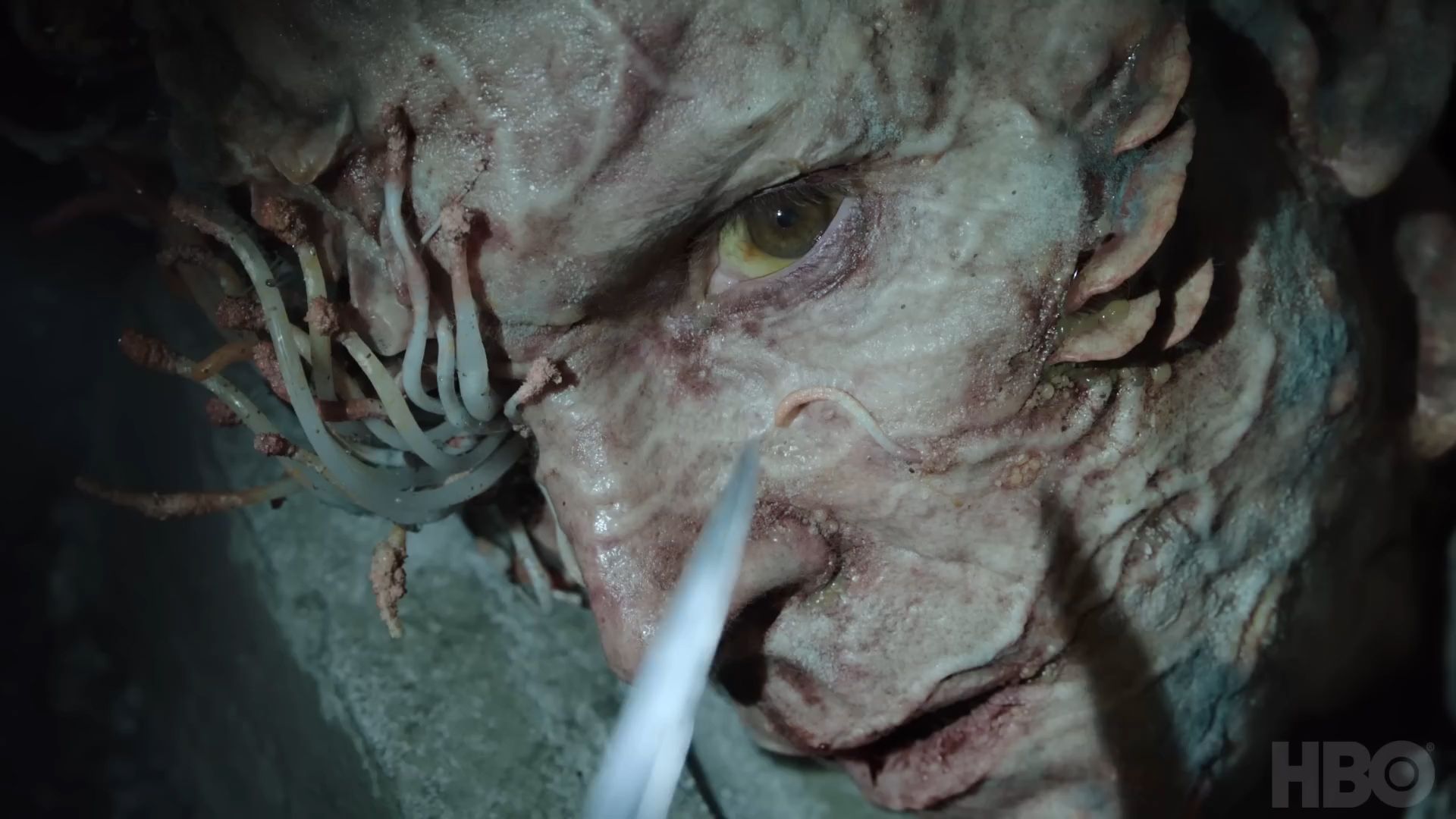 Rat King Origins - Most Terrifying & Nauseating Last Of Us Creature  Backstory Will Creep You Out! 