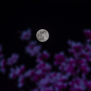 ブルームーン（満月）】2020年10月31日夜の天体・星に注目