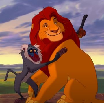 the lion king circle of life lyrics  what do they actually mean