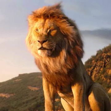 mufasa and simba on pride rock, the lion king