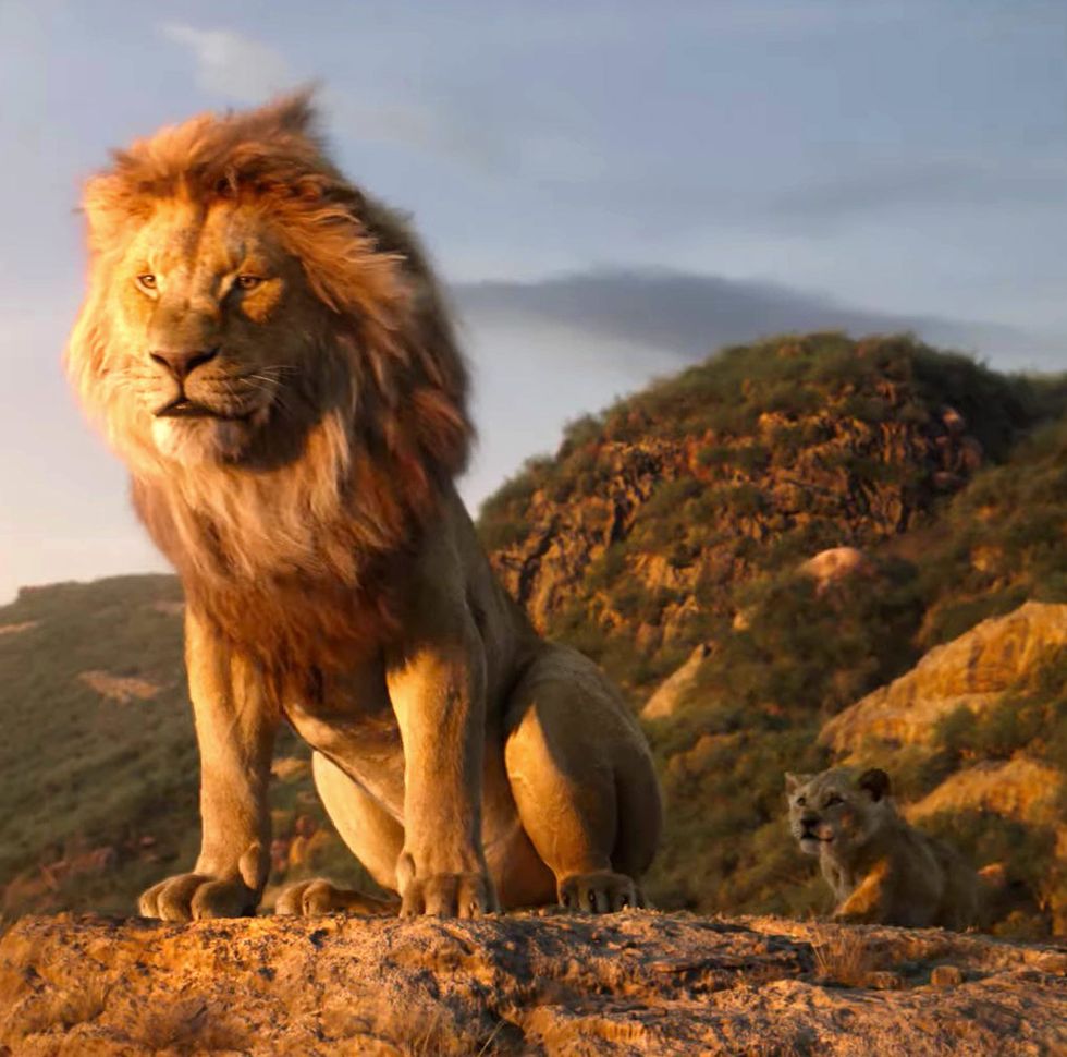 168 Marvel Leggings – We Are Lions