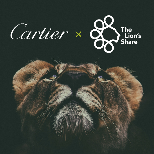 カルティエ、地球規模の自然危機に取り組む 「ライオンズシェア基金」に加盟