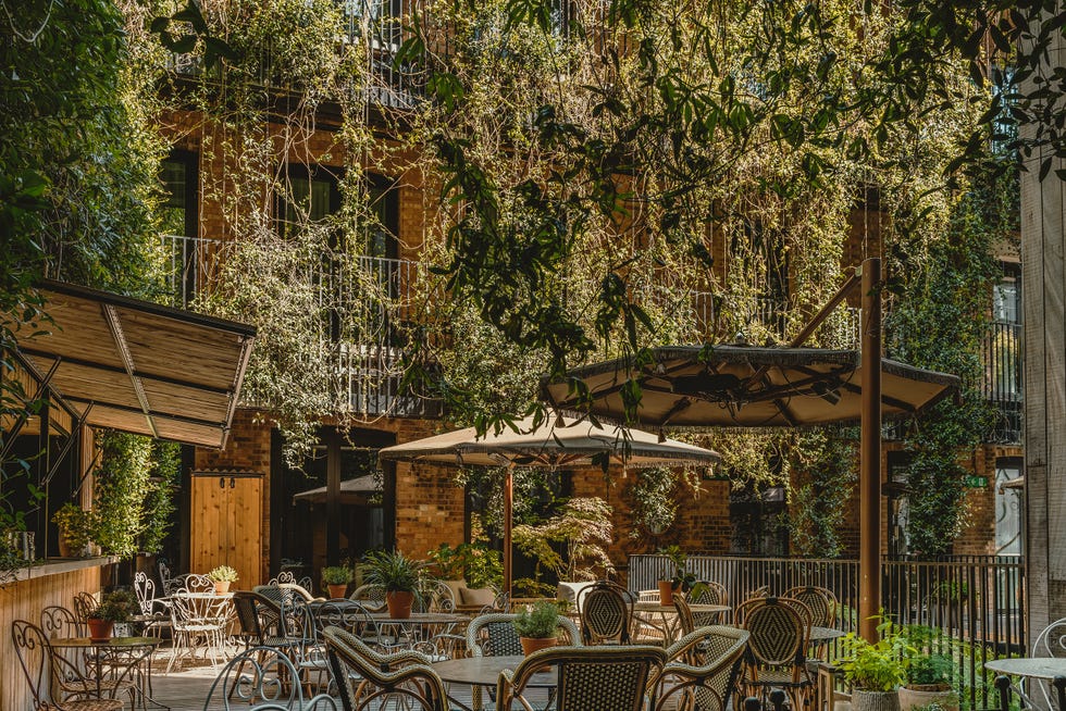 jurema terrace at the mandrake hotel