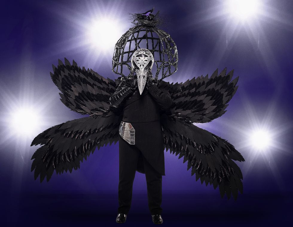 12 'Masked Singer' Halloween Costumes - The Monster, Peacock, Lion, and More Halloween Costumes