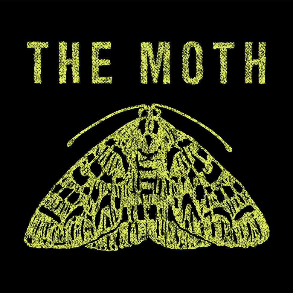 Moth, Moths and butterflies, Insect, Font, Symmetry, Organism, Illustration, Pollinator, Logo, Invertebrate, 