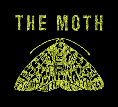 Moth, Moths and butterflies, Insect, Font, Symmetry, Organism, Illustration, Pollinator, Logo, Invertebrate, 