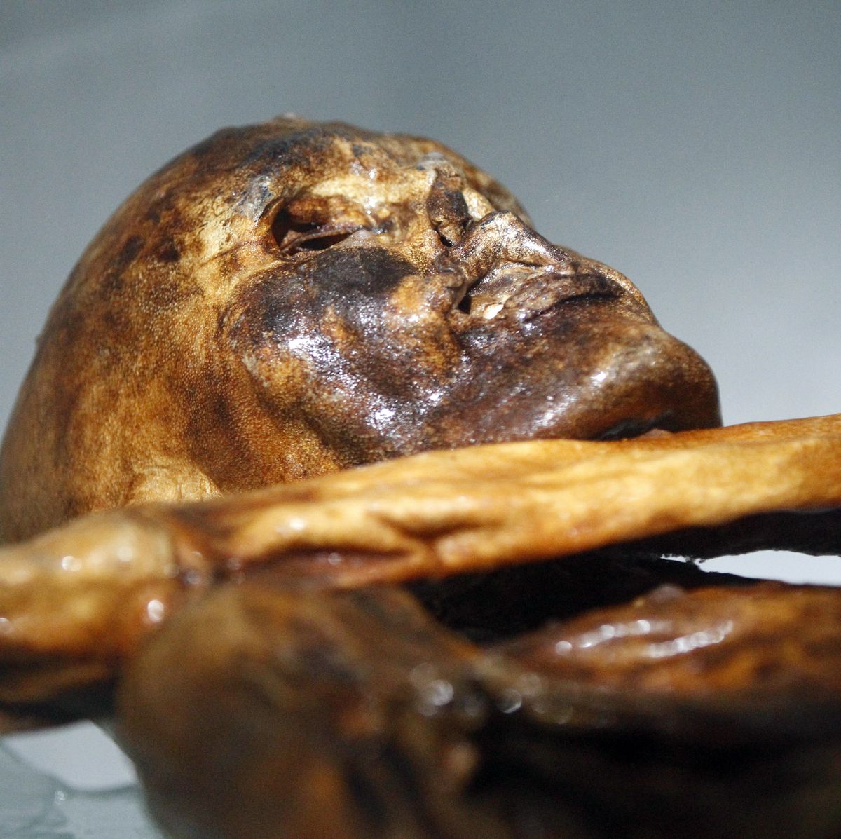 Study reveals how Ötzi the Iceman, Europe's oldest mummy, actually