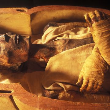 egypt's mummies