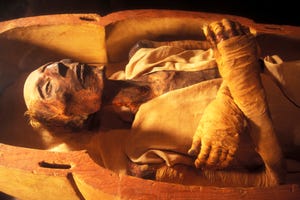 egypt's mummies