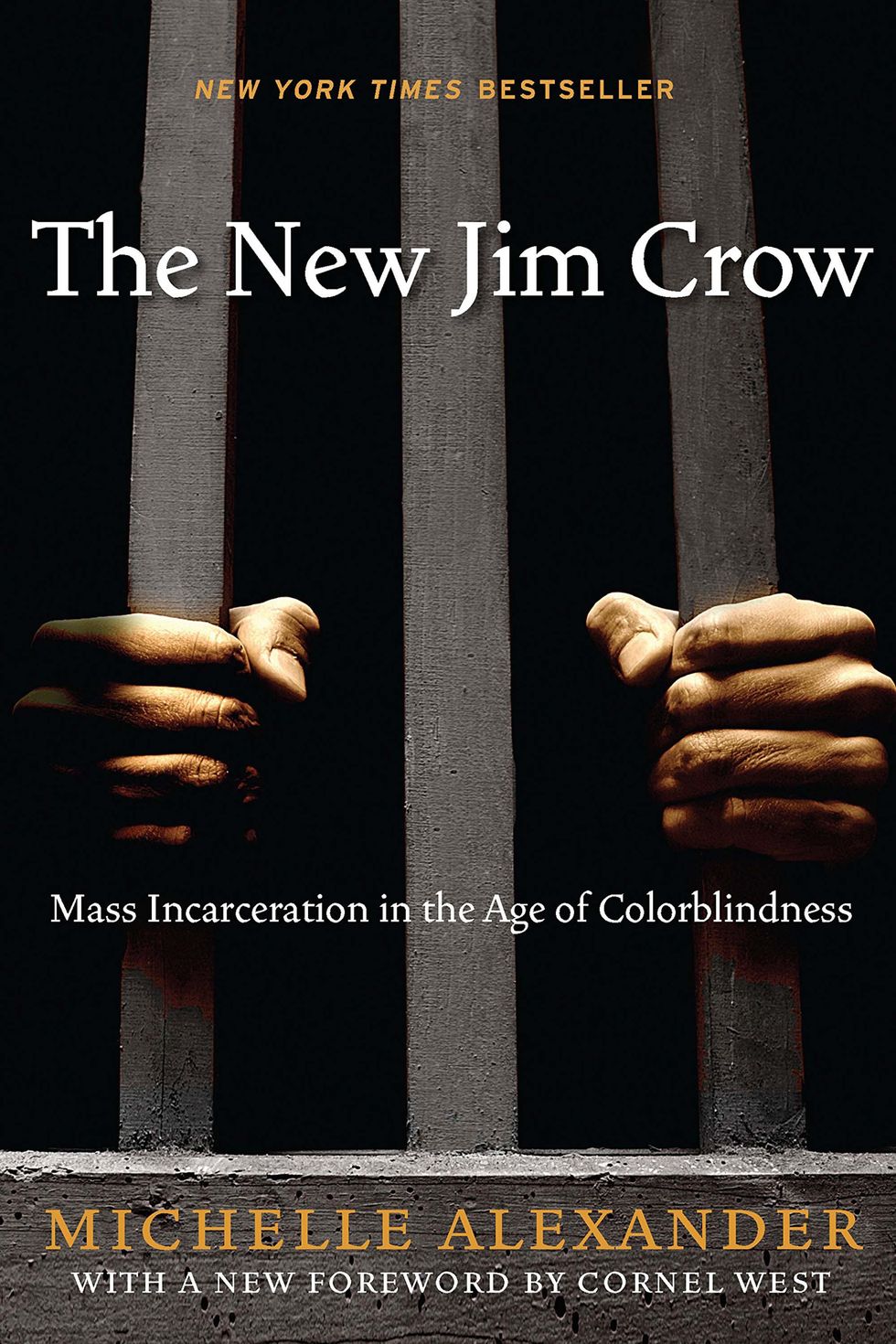 new jim crow book