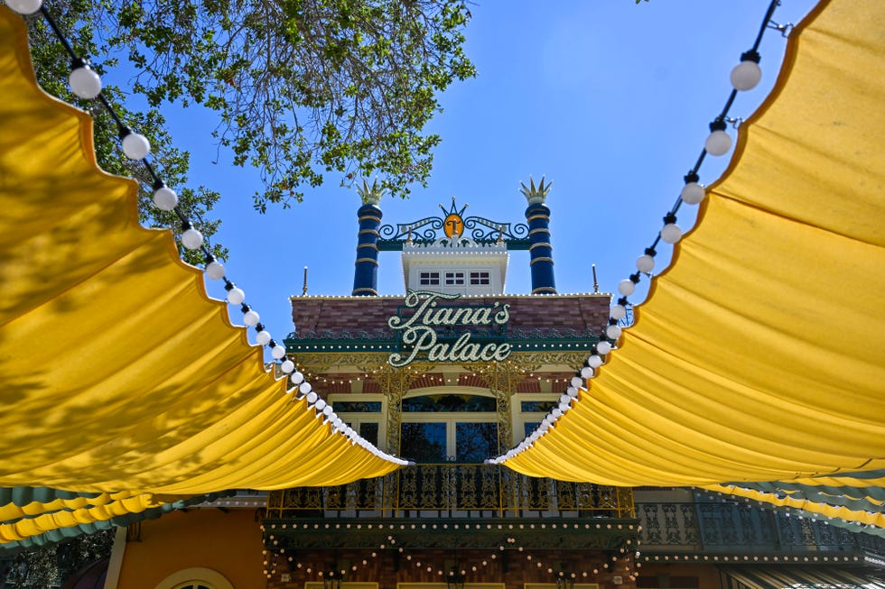 disney fall favorites