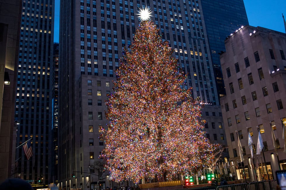 How to Put Lights on a Christmas Tree Perfectly