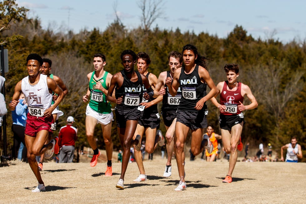 2020 ncaa division i men's and women's cross country championship