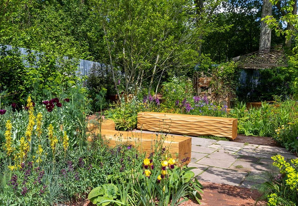 chelsea flower show winners