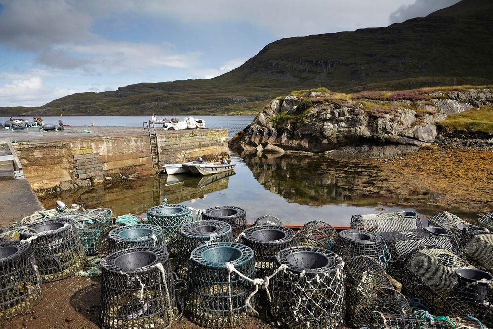 In het vissersdorpje Rosroe in Killary Harbour staan op de kade van de haven fuiken vol kreeft Elke donderdagochtend wordt de vangst verkocht op de markt van het nabijgelegen Westport