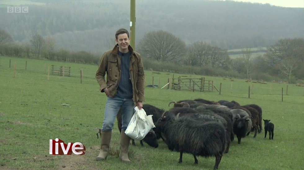 matt baker on the one show
