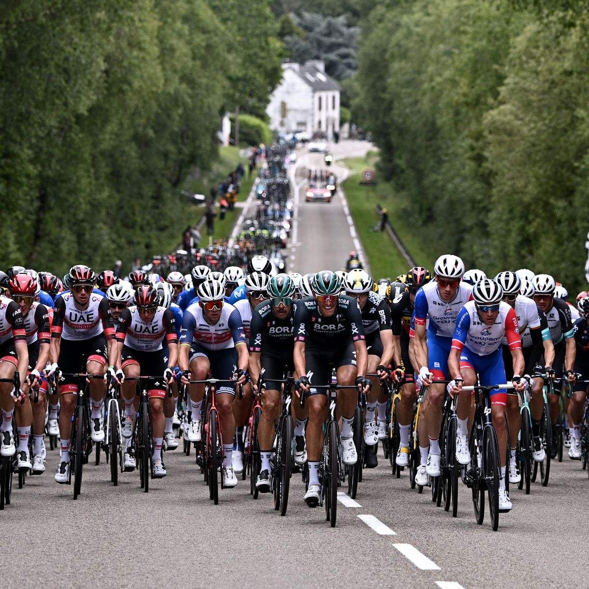 cycling fra tdf2021 stage1