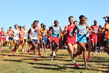 2023 division i men's and women's cross country championship