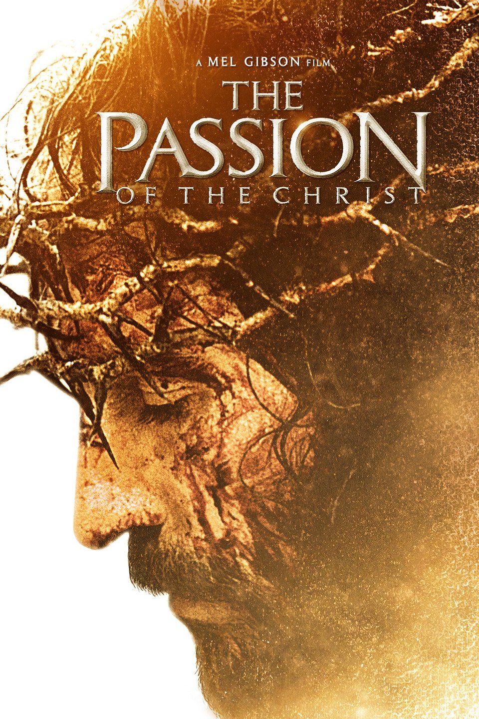 bible movies passion of the christ