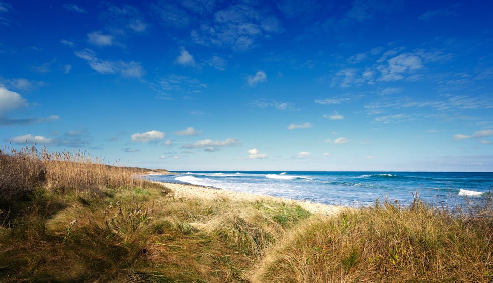 the path to the ocean at montauk, long island