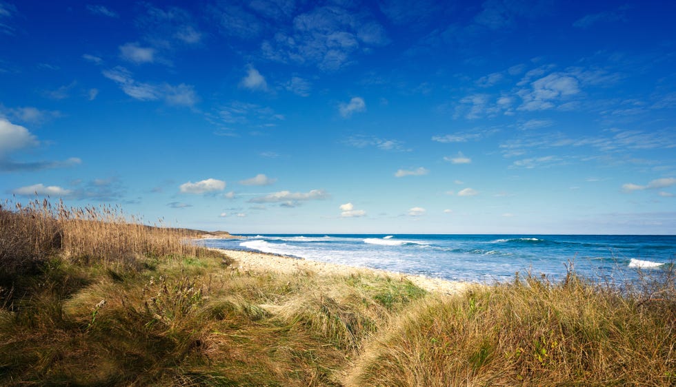 The Path to the Ocean at Montauk, Long Island the path to the ocean at montauk, long island