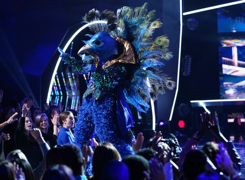 the peacock the masked singer