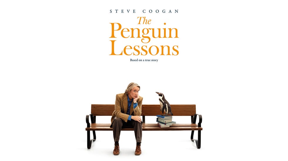 penguin lessons