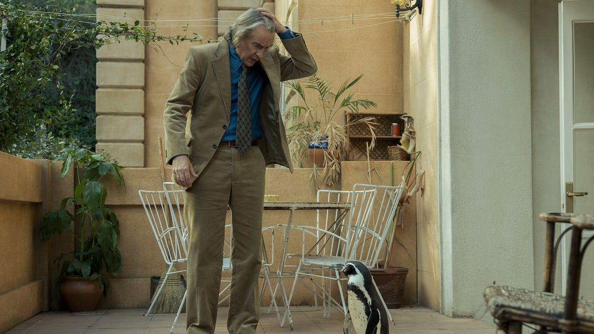 High flying birds! Steve Coogan’s “remarkable” dramedy The Penguin Lessons is turning penguins into stars